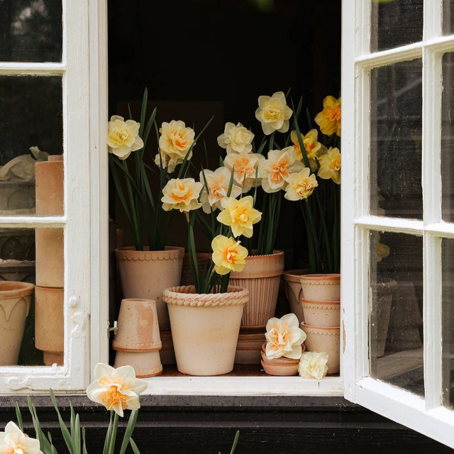 Blumentopf Emilia Rosa - Bergs Potter - DesignWe.Love